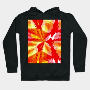 Radiance Hoodie